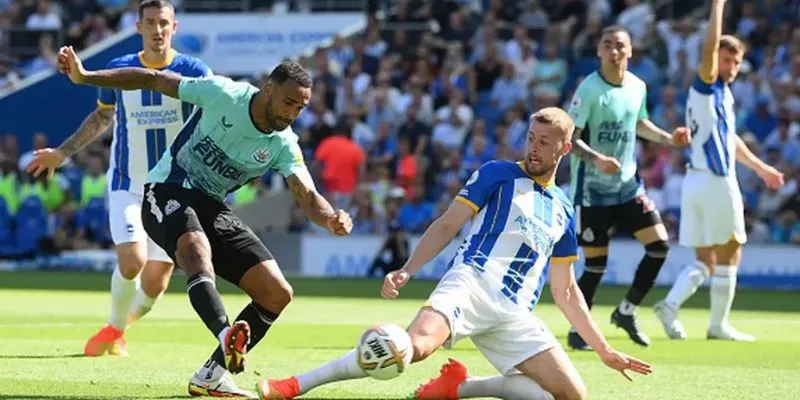 Đội hình và chiến thuật dự đoán của Brighton vs Newcastle