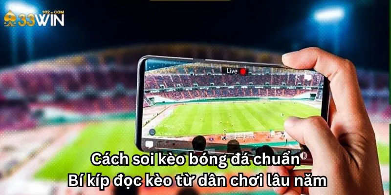 Cách soi kèo bóng đá chuẩn: Bí kíp đọc kèo từ dân chơi lâu năm