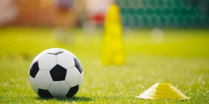 Hướng dẫn đọc bảng tỷ lệ để tránh kèo dụ 