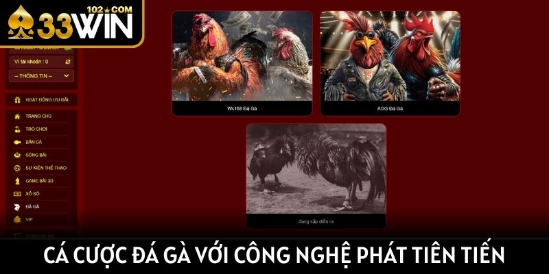 Cá cược đá gà với công nghệ phát trực tiếp tiên tiến
